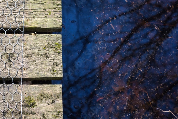 Obraz closeup walkway over the pond