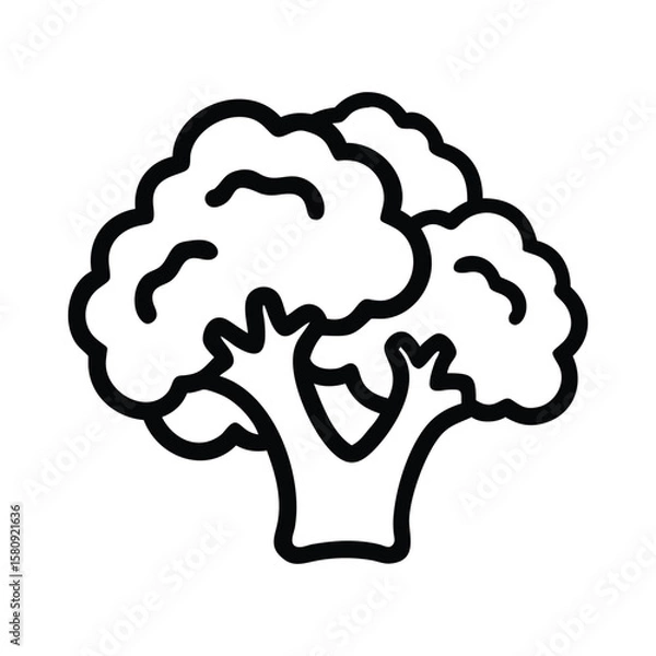 Fototapeta Bold outline depicts a broccoli floret with detailed texture against a transparent background