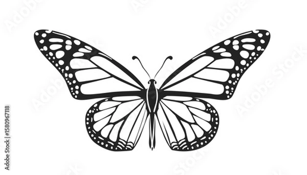 Fototapeta Collection of butterfly silhouette icon vectors in elegant flat style on white background, perfect for nature designs, beauty logos, eco branding, and spring-themed illustrations