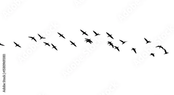 Fototapeta Illustration of a flock of birds in silhouette soars across the sky in graceful formation isolated on transparent background