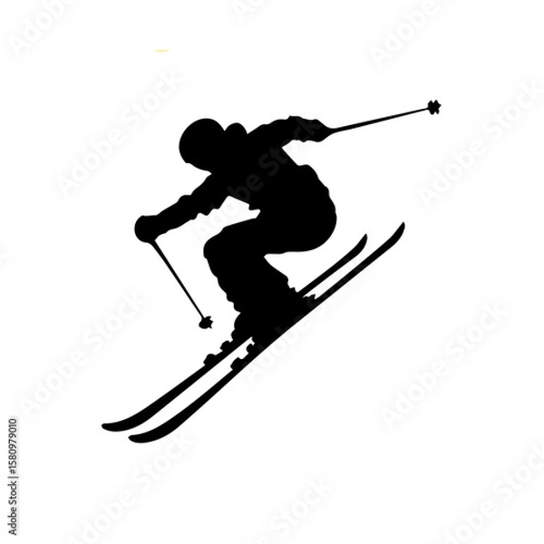 Obraz Jumping skier sport