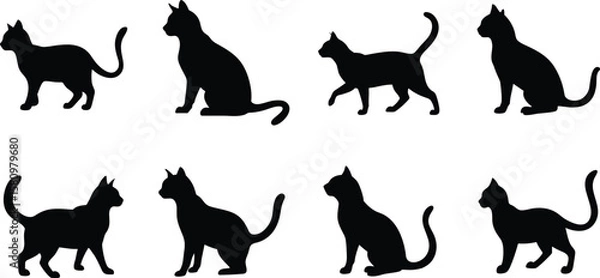 Fototapeta Black Cat Silhouettes in Multiple Poses Vector Set. 