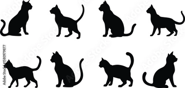 Fototapeta Black Cat Silhouettes in Multiple Poses Vector Set. 