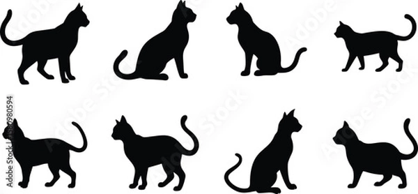 Fototapeta Black Cat Silhouettes in Multiple Poses Vector Set. 
