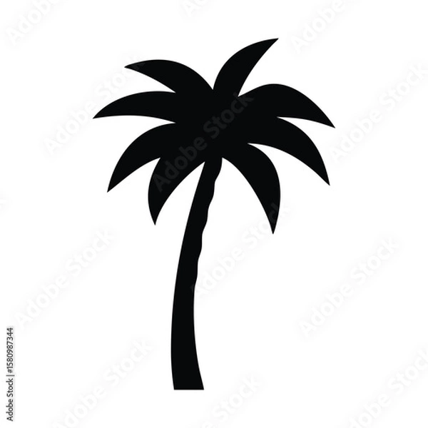 Fototapeta Single bold palm tree stands starkly in silhouette form, its silhouette transparent