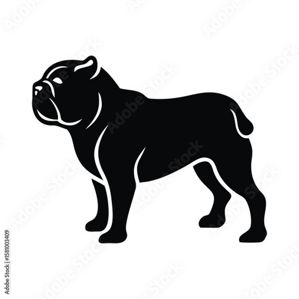 Fototapeta The stout black American bully stands proudly with a solid build on transparent background