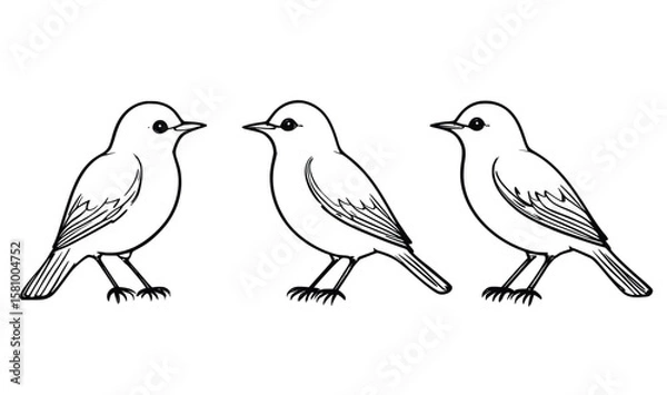 Fototapeta "Vector Outline of Three Birds Perched in Side View"