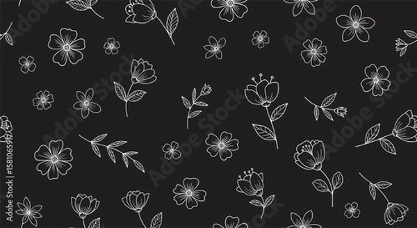 Fototapeta Delicate White Floral Illustrations on a Dark Background Botanical Pattern
