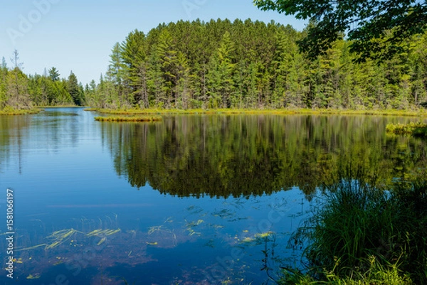 Fototapeta Under a blue sky in early July, the calm water of Devils Lake near Boulder Junction, Wisconsin, reflects the shoreline pines