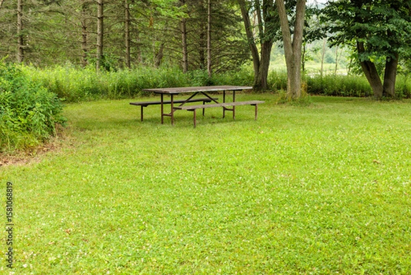 Fototapeta A quiet section of the north picnic area with its own picnic table within Pike Lake Unit, Kettle Moraine State Forest, Hartford, Wisconsin in mid-July
