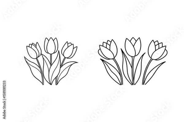 Fototapeta Black and white tulip outlines tulips flowers