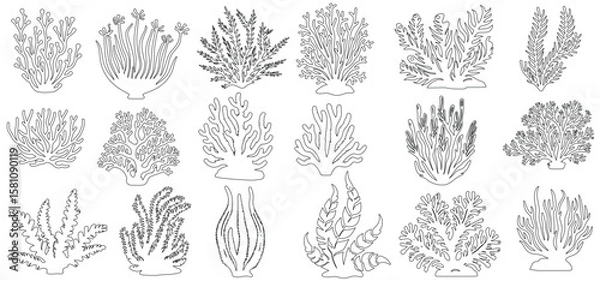 Fototapeta coral reef cad line art vector illustration coral reef outlines, showcasing underwater marine life and ecosystem. Ideal for educational, environmental, and scientific use. vector