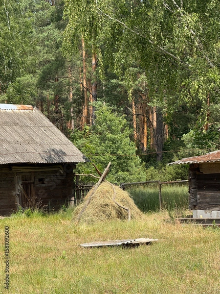 Fototapeta A haystack between two wooden barns. Against a backdrop of pine forest.