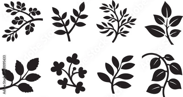 Fototapeta Collection of eight stylized black botanical plant branches and leaves isolated on transparent background