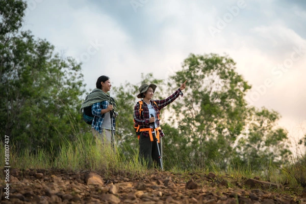 Fototapeta Two people are standing in a forest, one of them pointing at something. They are both wearing backpacks