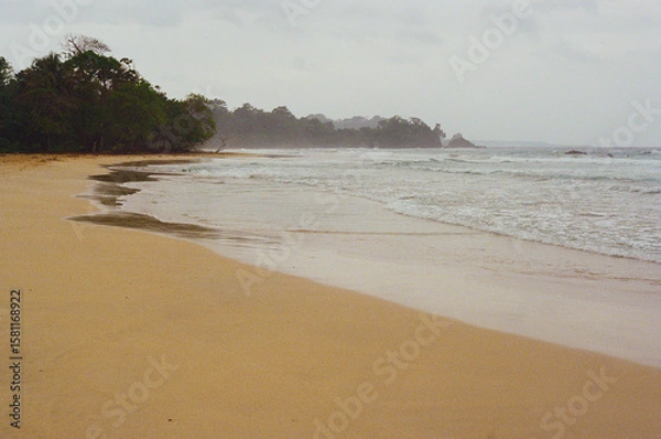 Fototapeta Captivating coastal landscape featuring a tranquil sandy beach with gentle waves and lush surrounding vegetation. The serene ambiance evokes peace and connection with nature. Red Frog Beach, Panama