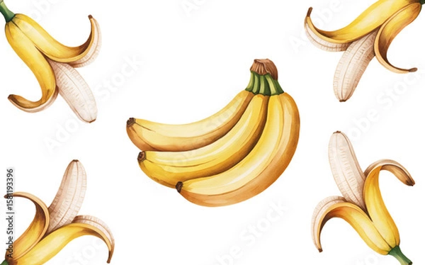 Obraz Hand-Painted Assorted Bananas and Slices
