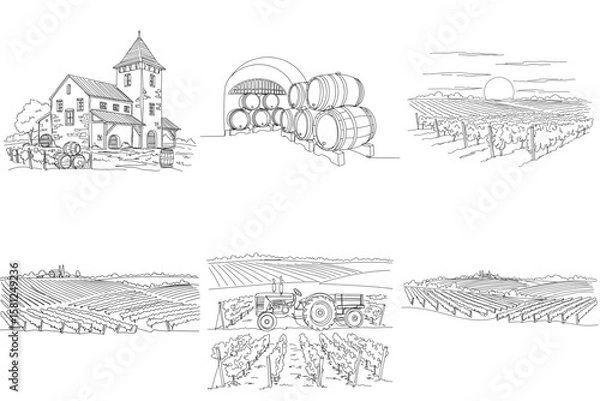 Fototapeta Set of vineyard and winery scenes in sketch style on transparent background 