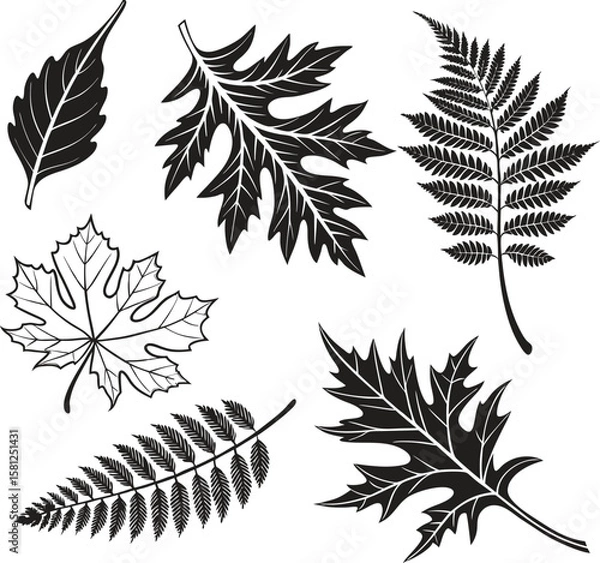 Obraz Black and White Leaf Silhouettes