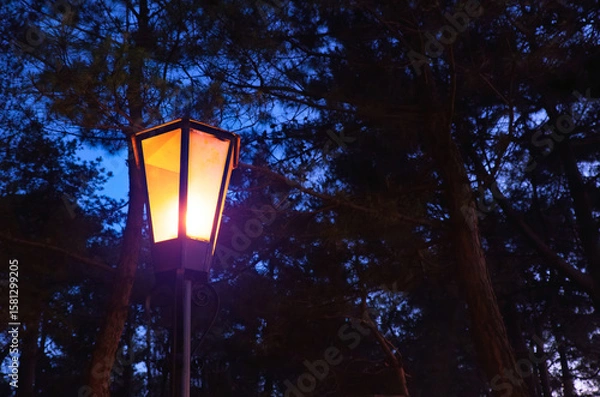 Fototapeta Illuminated lantern in the dark forest. Charming street lamp casting a warm glow amidst the dark silhouettes of trees. Creating inviting atmosphere in the evening woodland.