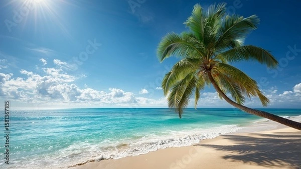 Fototapeta ビーチに生えたヤシの木