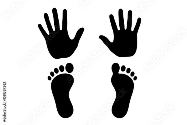 Fototapeta Handprint and Footprint Silhouette Set, Human Hand and Foot Vector Icons, Black Symbol Collection for Communication, Gestures, Sign Language, Body Parts, Isolated Clipart