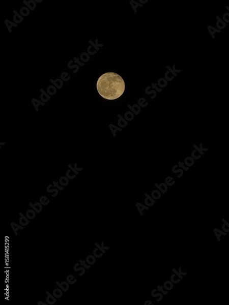Obraz The moon rising on a black night background