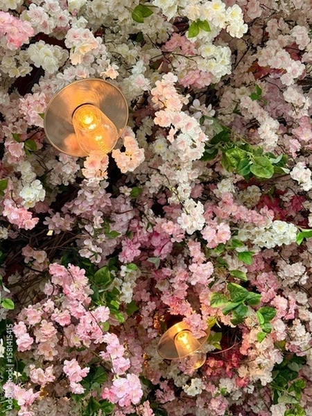 Obraz Pink flowers in a roof