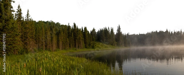 Fototapeta Early morning at a misty lake with a green forest and a transparent sky
