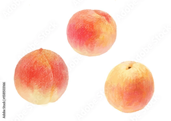 Obraz リアルな桃