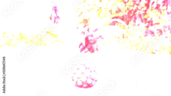 Fototapeta Abstract background. Pineapple fruit. Gradient white red yellow blurred placed in the middle of an unfinished road through a public area in a village. Central Thailand. Pineapple, Fruit, Isolated, Hot