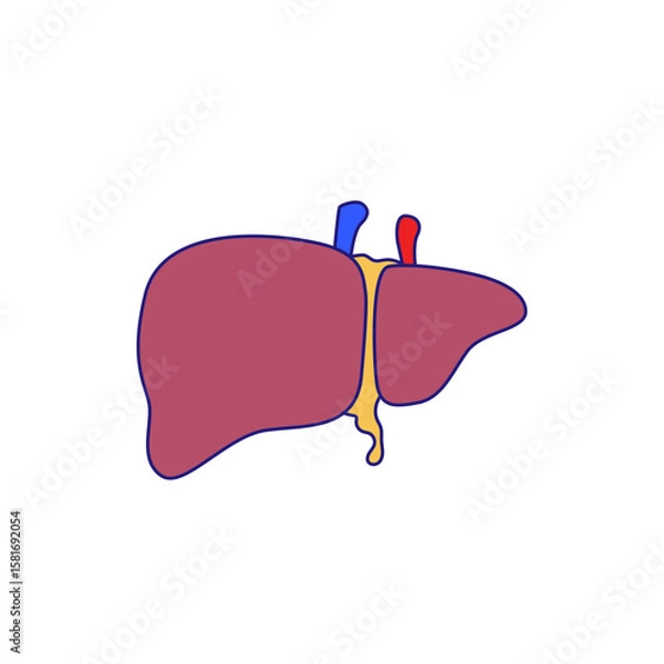 Obraz Human liver icon illustration