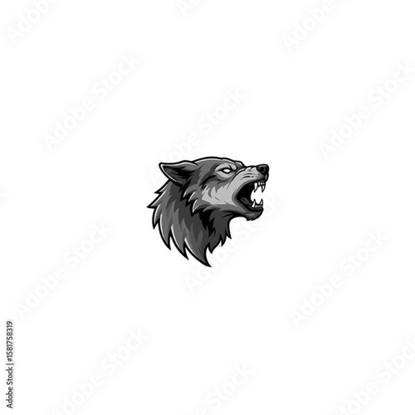 Fototapeta A fierce wolf head roars with sharp teeth, set against a stark black background, showing a powerful wild animal depiction.