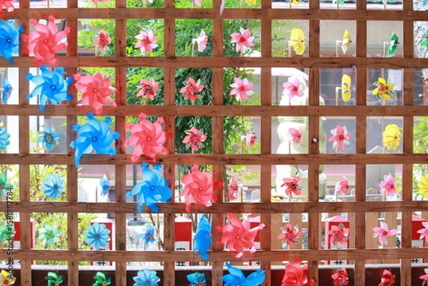 Obraz カラフルな風車