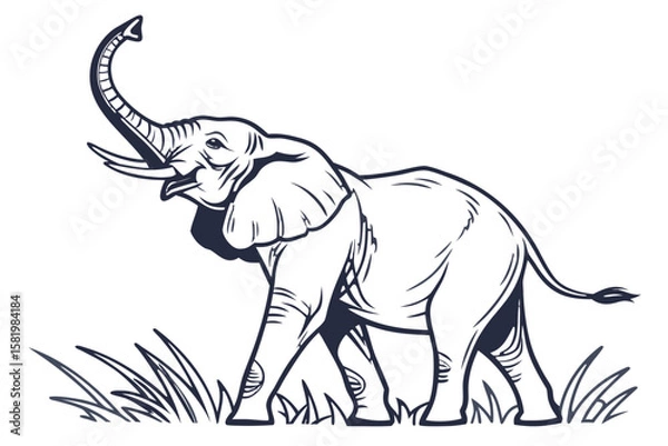 Obraz An elephant with its trunk raised on a white background