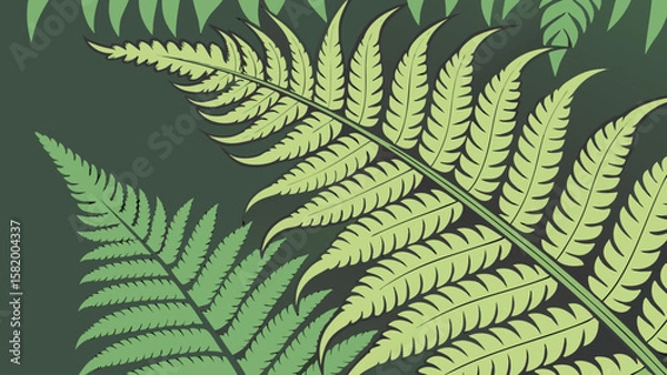 Fototapeta Illustration of several fern fronds with detailed pinnate venation on a dark green background design