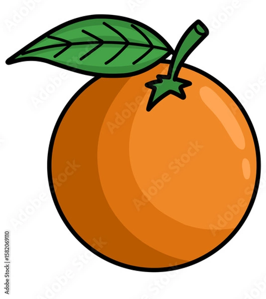 Obraz orange fruit vector illustration
