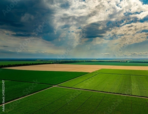 Fototapeta bird view of green field and blue sky
