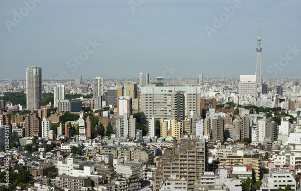 Obraz 日本の東京都市風景・空とビル群（台東区や葛飾区、墨田区方面を望む）