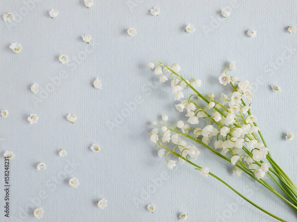 Obraz Lily of the valley on a blue paper textured background. Pattern of small flowers of the may-lily. Abstract floral background.
