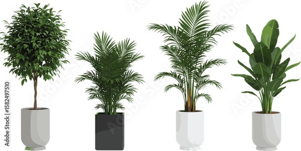 Fototapeta Modern indoor potted plants collection, tropical and decorative houseplants in ceramic planters, realistic 3D render for home or office decor