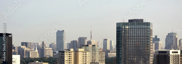 Fototapeta 日本の東京都市景観（官庁街やビル群などを望む）