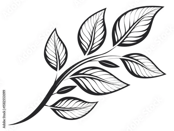 Fototapeta Elegant black and white leafy branch design suitable for various creative projects