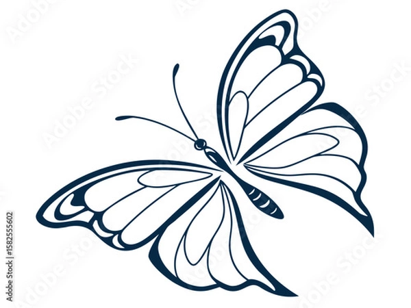 Fototapeta Elegant hand drawn butterfly illustration in a simple monochromatic vector design