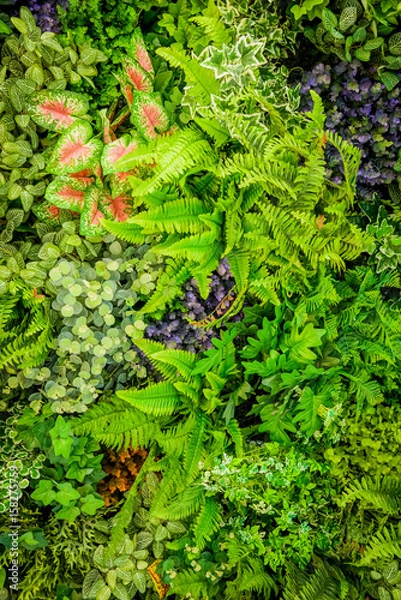 Fototapeta Background of plastic plant on wall, vertical garden