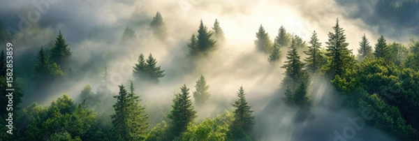 Fototapeta A mist-covered pine forest creates an ethereal landscape with towering trees disappearing into fog. Soft sunlight beams create mystical shadows, enhancing the serene and atmospheric environment.