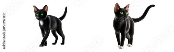 Fototapeta Realistic Black Cat Characters with Green Eyes for Creative Projects