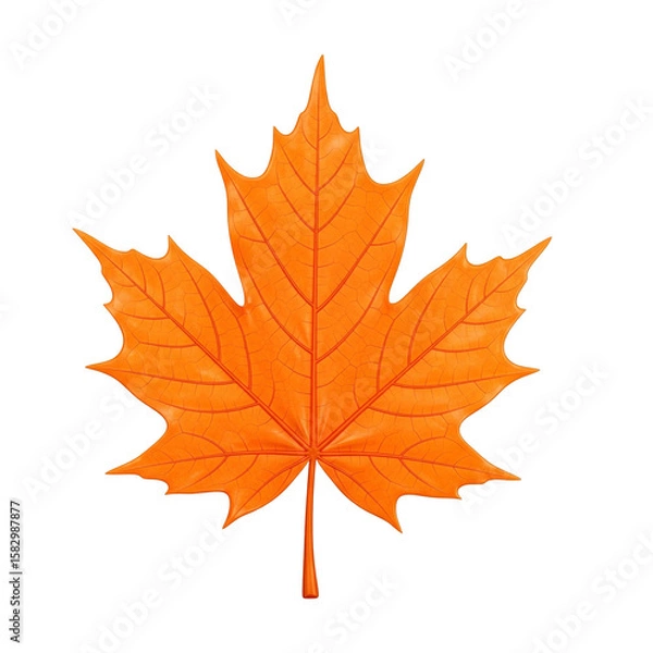 Obraz autumn maple leaf