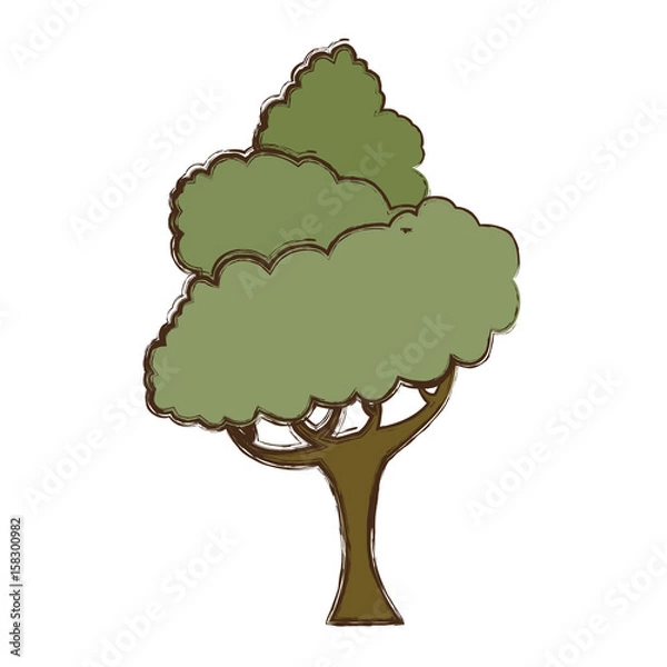 Obraz Beautiful tree isolated icon vector illustration graphic design