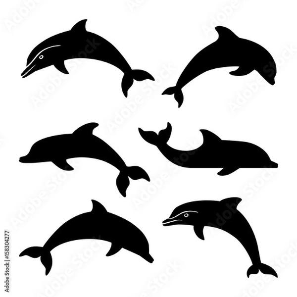 Obraz dolphin silhouettes set